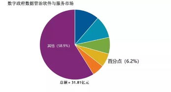 百分點躋身IDC數(shù)字政府?dāng)?shù)據(jù)管理與治理軟件和服務(wù)市場第四名，數(shù)據(jù)處理服務(wù)獲認(rèn)可