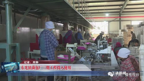 東光鎮(zhèn)菌包廠三期工程順利投產(chǎn)，技術(shù)服務(wù)賦能產(chǎn)業(yè)升級