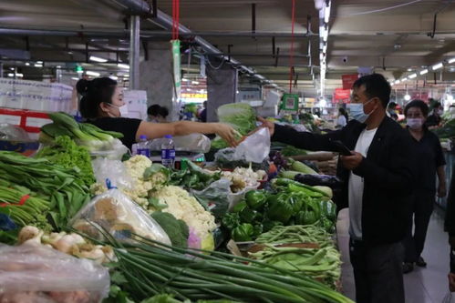 我市農(nóng)副產(chǎn)品及醫(yī)藥消殺用品貨足價穩(wěn)供應(yīng)平穩(wěn)